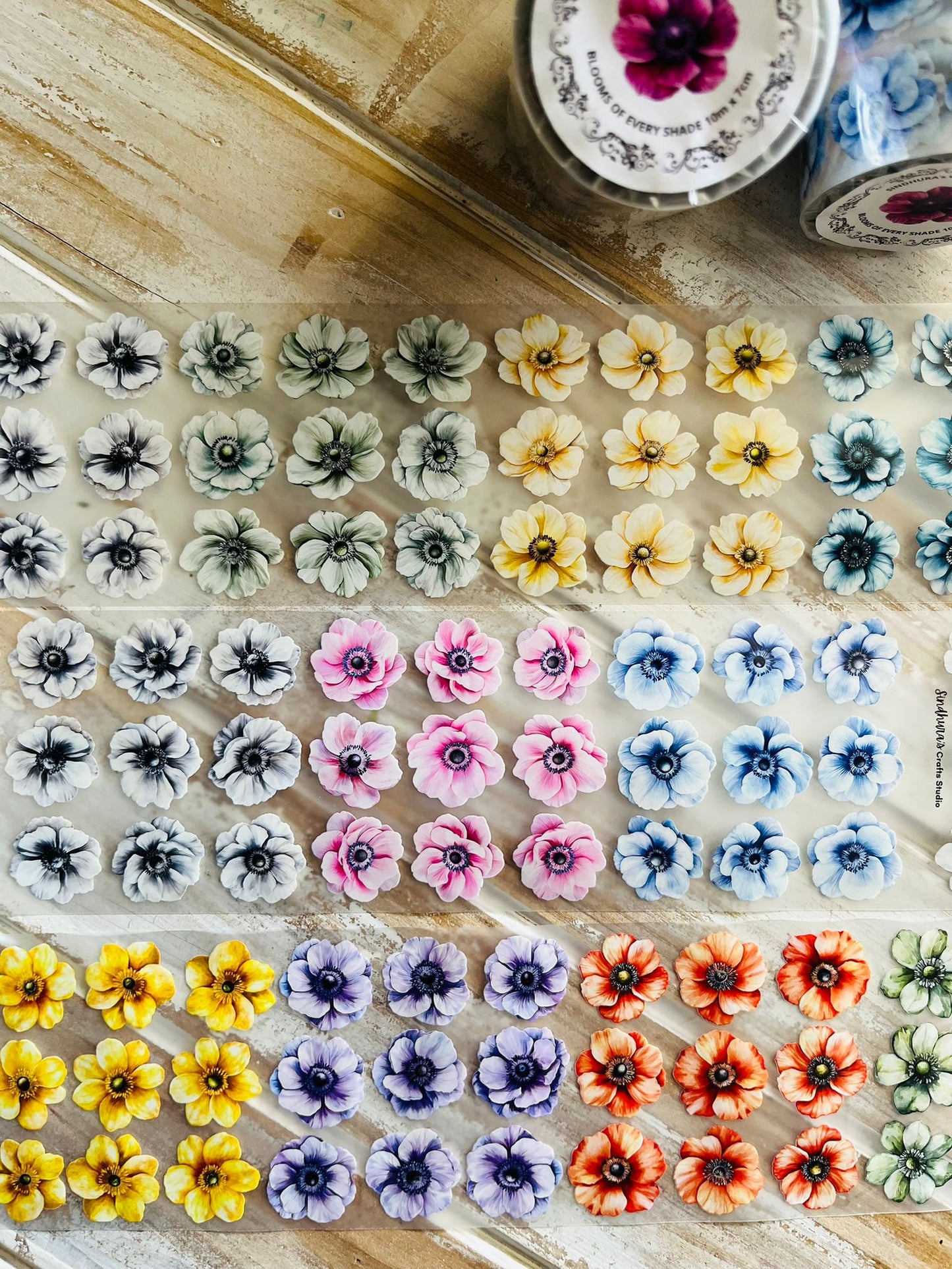 Blooms of Every Shade | Matte PET Tape